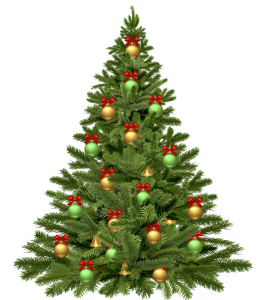 christmas-tree-1808558_1920